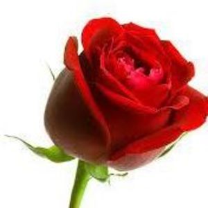 Meet your Posher, Joy